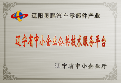 辽宁省中小企业公共技术服务平台